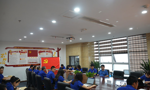過政治生日，做大業(yè)先鋒——大業(yè)科技集團(tuán)黨支部慶“七一”主題黨日活動